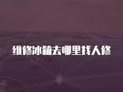 维修冰箱去哪里找人修
