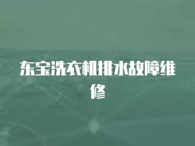 东宝洗衣机排水故障维修