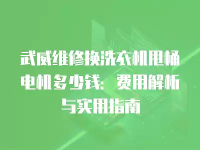 武威维修换洗衣机甩桶电机多少钱：费用解析与实用指南