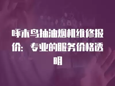 啄木鸟抽油烟机维修报价：专业的服务价格透明