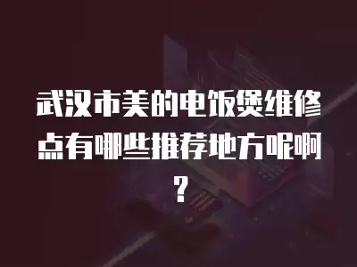 武汉市美的电饭煲维修点有哪些推荐地方呢啊？