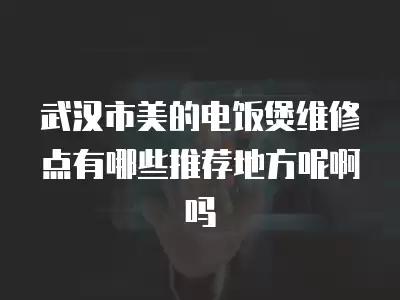 武汉市美的电饭煲维修点有哪些推荐地方呢啊吗