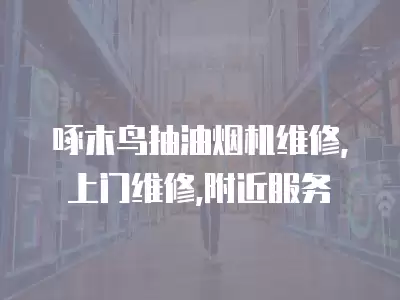 啄木鸟抽油烟机维修,上门维修,附近服务
