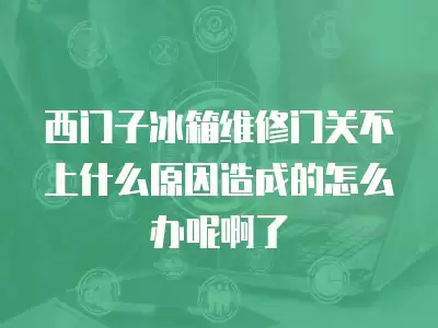 西门子冰箱维修门关不上什么原因造成的怎么办呢啊了