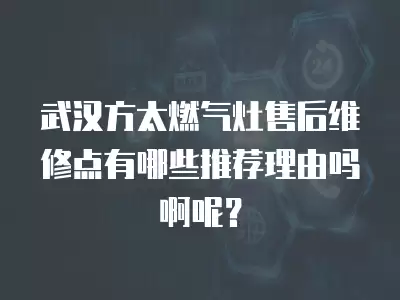 武汉方太燃气灶售后维修点有哪些推荐理由吗啊呢？
