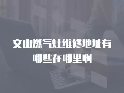 文山燃气灶维修地址有哪些在哪里啊