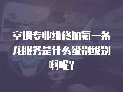 空调专业维修加氟一条龙服务是什么级别级别啊呢？