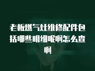 老板燃气灶维修配件包括哪些明细呢啊怎么查啊