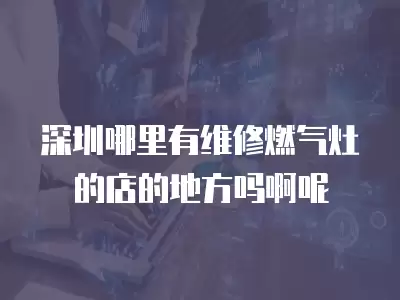 深圳哪里有维修燃气灶的店的地方吗啊呢