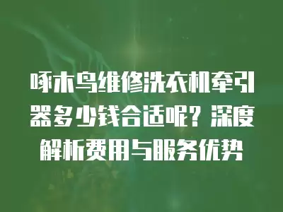 啄木鸟维修洗衣机牵引器多少钱合适呢？深度解析费用与服务优势