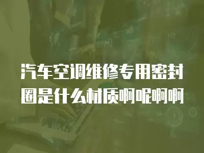 汽车空调维修专用密封圈是什么材质啊呢啊啊