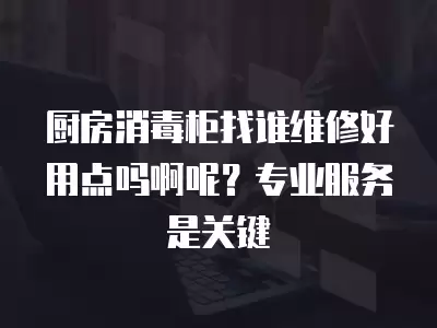 厨房消毒柜找谁维修好用点吗啊呢？专业服务是关键