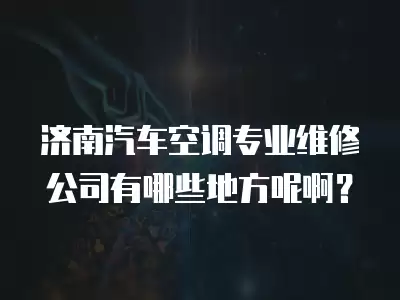 济南汽车空调专业维修公司有哪些地方呢啊？
