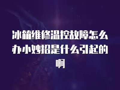 冰箱维修温控故障怎么办小妙招是什么引起的啊