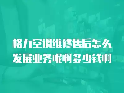 格力空调维修售后怎么发展业务呢啊多少钱啊