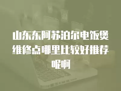 山东东阿苏泊尔电饭煲维修点哪里比较好推荐呢啊