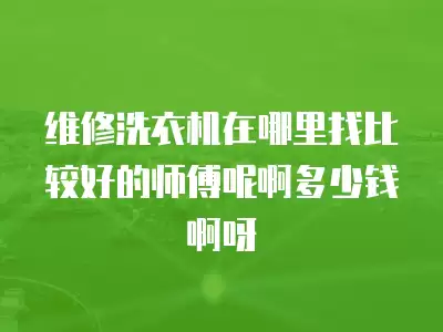 维修洗衣机在哪里找比较好的师傅呢啊多少钱啊呀
