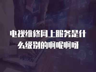 电视维修网上服务是什么级别的啊呢啊呀