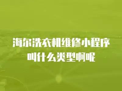 海尔洗衣机维修小程序叫什么类型啊呢