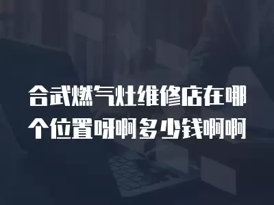 合武燃气灶维修店在哪个位置呀啊多少钱啊啊
