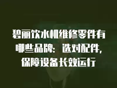 碧丽饮水机维修零件有哪些品牌：选对配件，保障设备长效运行