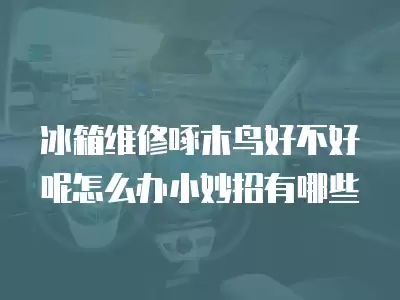 冰箱维修啄木鸟好不好呢怎么办小妙招有哪些