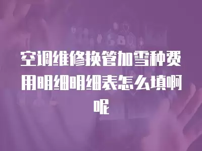 空调维修换管加雪种费用明细明细表怎么填啊呢