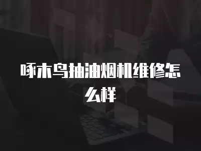 啄木鸟抽油烟机维修怎么样