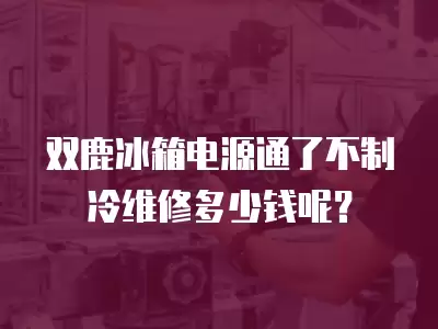 双鹿冰箱电源通了不制冷维修多少钱呢？