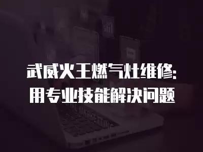 武威火王燃气灶维修: 用专业技能解决问题