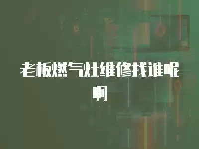 老板燃气灶维修找谁呢啊