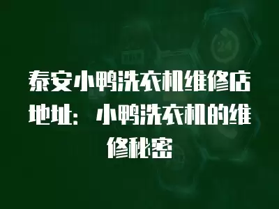 泰安小鸭洗衣机维修店地址：小鸭洗衣机的维修秘密