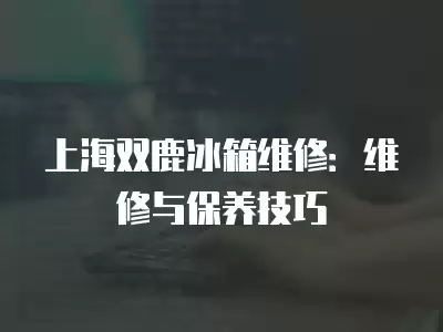 上海双鹿冰箱维修:维修与保养技巧 上海双鹿冰箱维修:维修与保养技巧