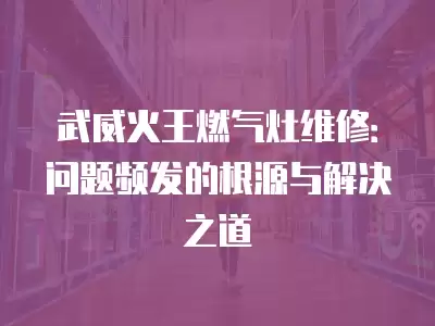 武威火王燃气灶维修：问题频发的根源与解决之道