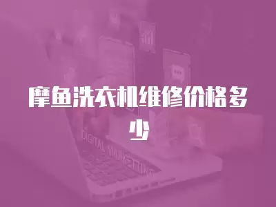 摩鱼洗衣机维修价格多少