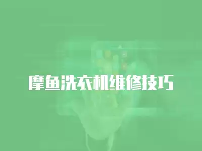 摩鱼洗衣机维修技巧