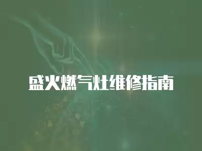 盛火燃气灶维修指南