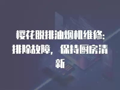 樱花脱排油烟机维修：排除故障，保持厨房清新