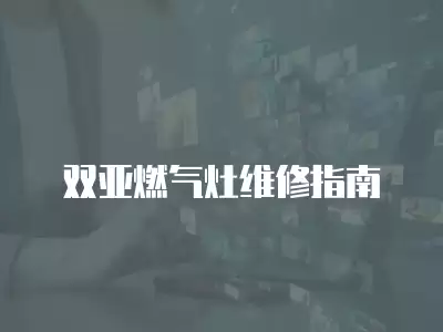 双亚燃气灶维修指南