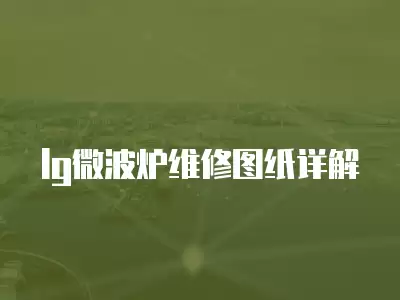 lg微波炉维修图纸详解